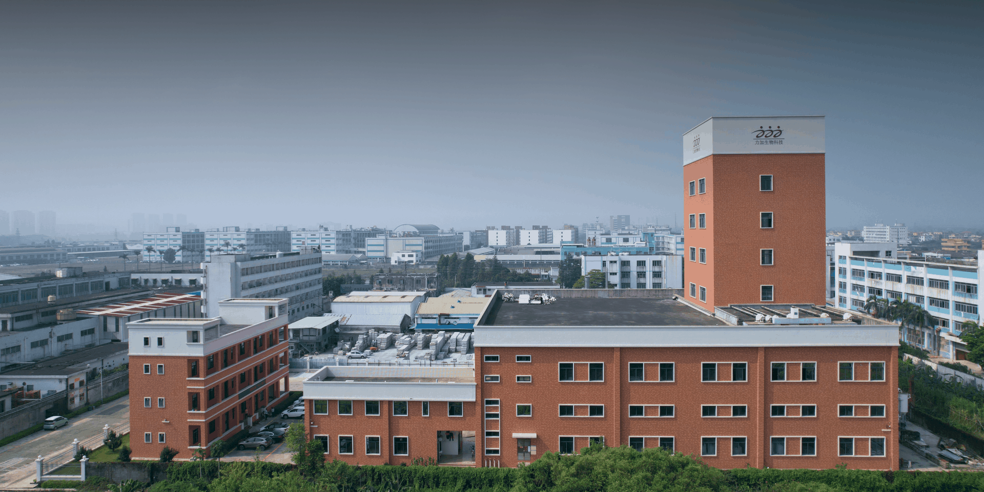 ����Ԥ���� רҵ��������