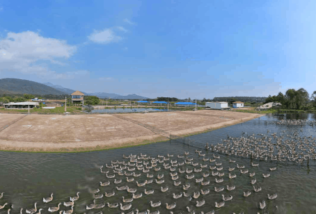 �й���3044��������(�ɷ�)���޹�˾-�ٷ���վ