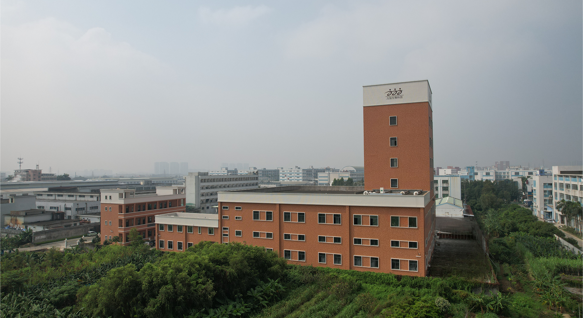 ��Ƶ����